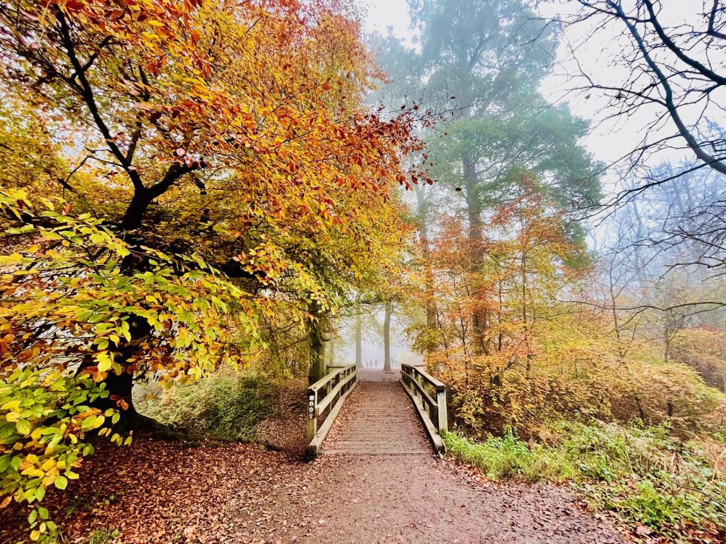 Ashridge Estate